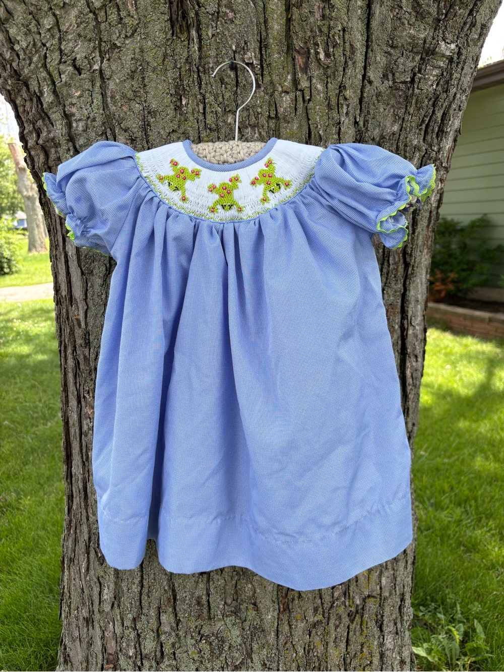 Castles & Crowns Smocked Frog Blue Gingham Bishop Dress Girls 12M